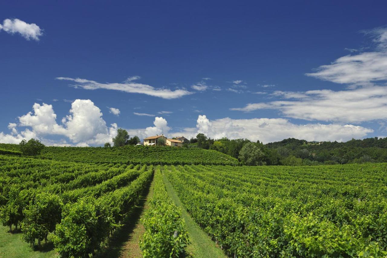 Agriturismo Moro Barel Vittorio Veneto Eksteriør bilde